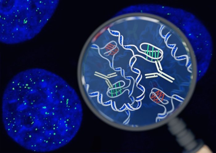 dna
