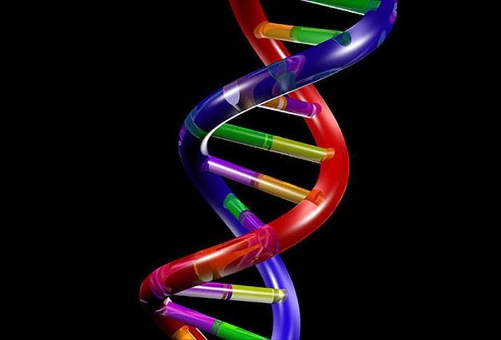 DNA Hakkında Merak Edilen 6 Soru